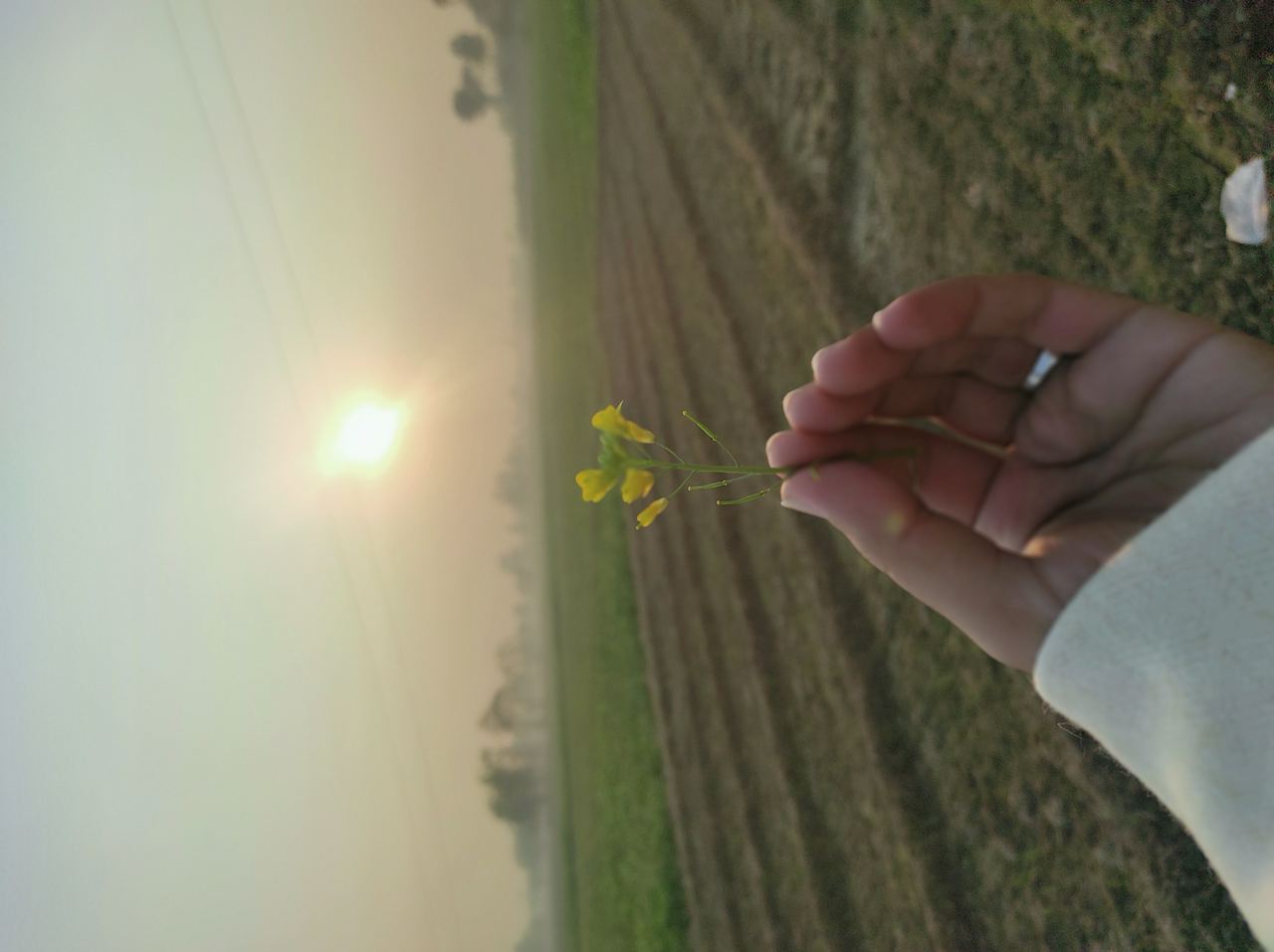 bacha_saib's avatar