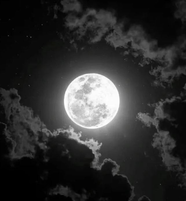 mooon's avatar