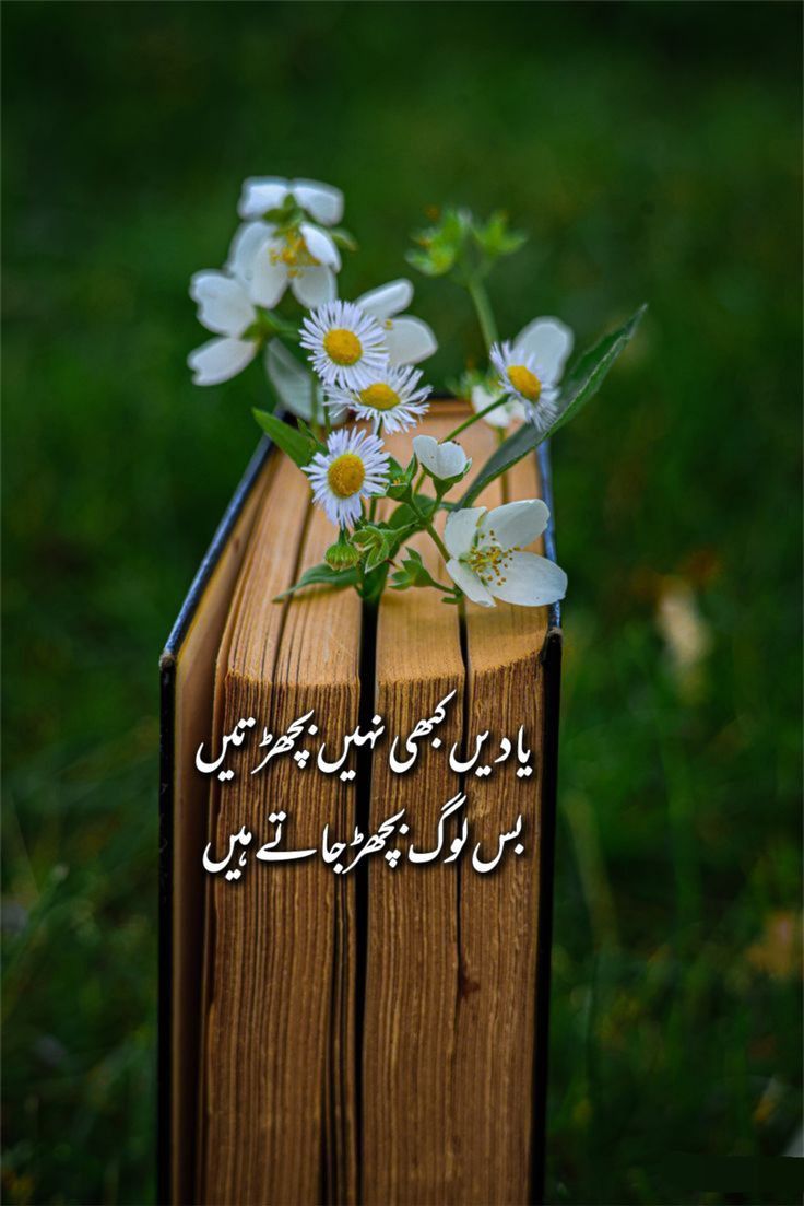 General post on Dostana