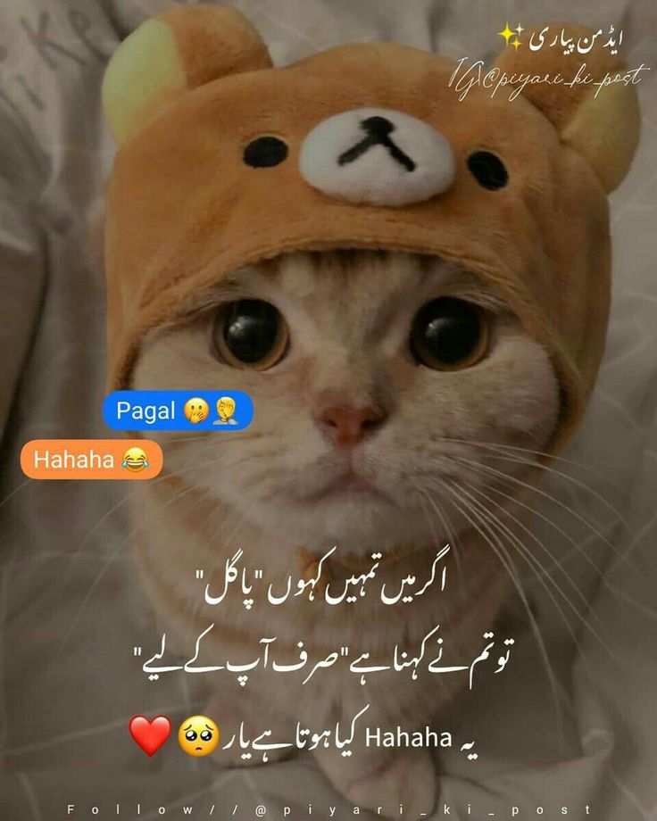Pariii77....🫣🫣🫣🫣🤭🤭🤭