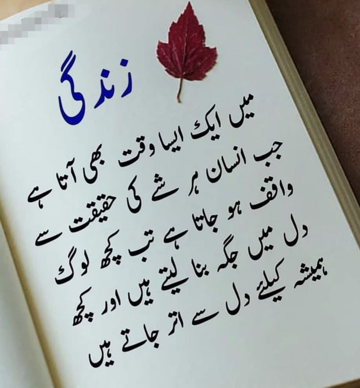 Deep Lines post on Dostana