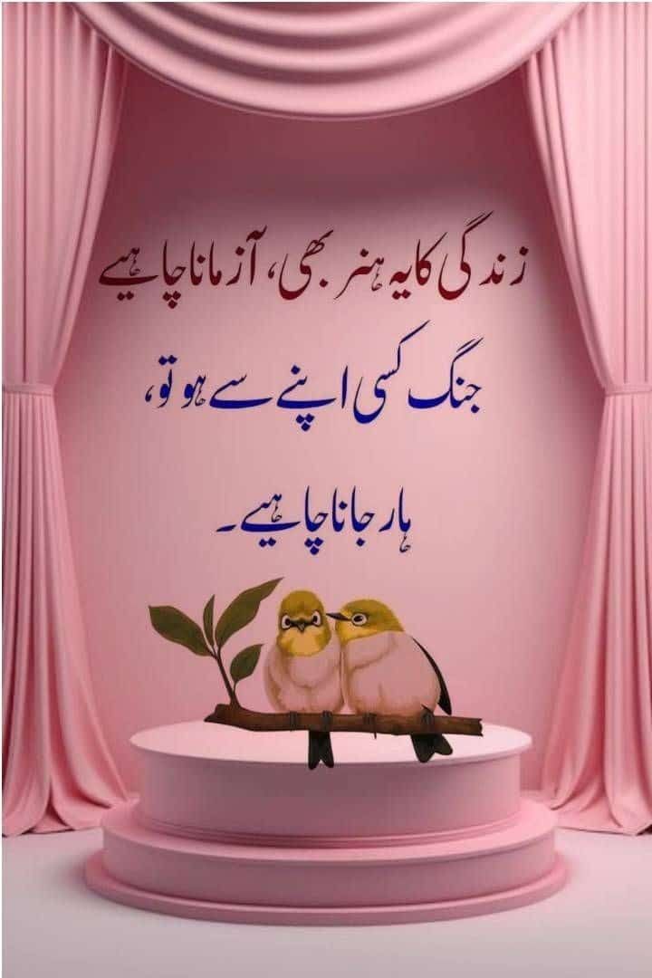 Deep Lines post on Dostana
