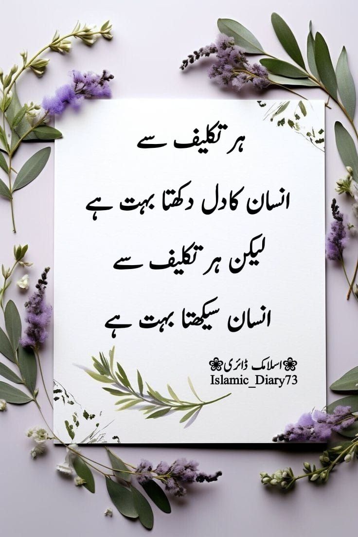 Deep Lines post on Dostana