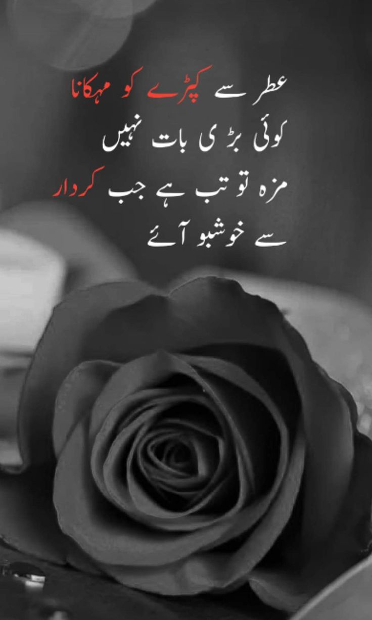 Deep Lines post on Dostana