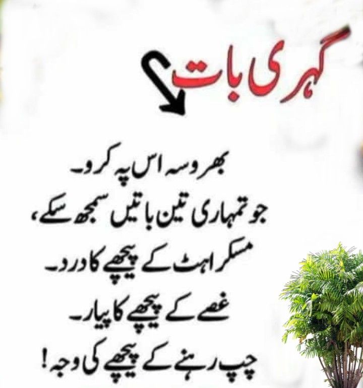 Deep Lines post on Dostana