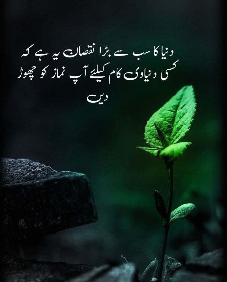 Deep Lines post on Dostana