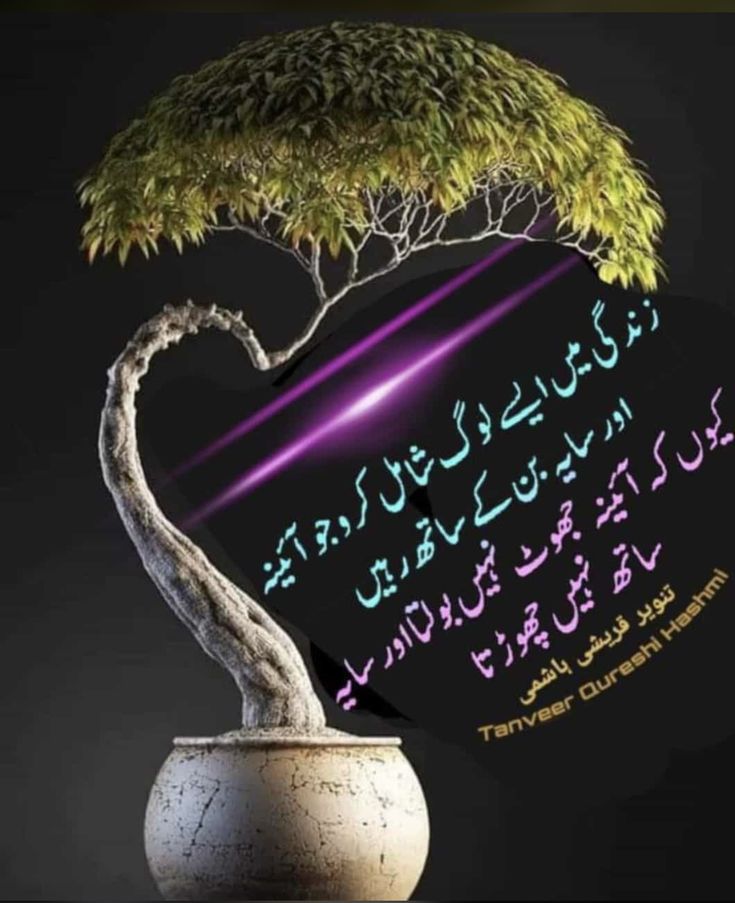 Deep Lines post on Dostana