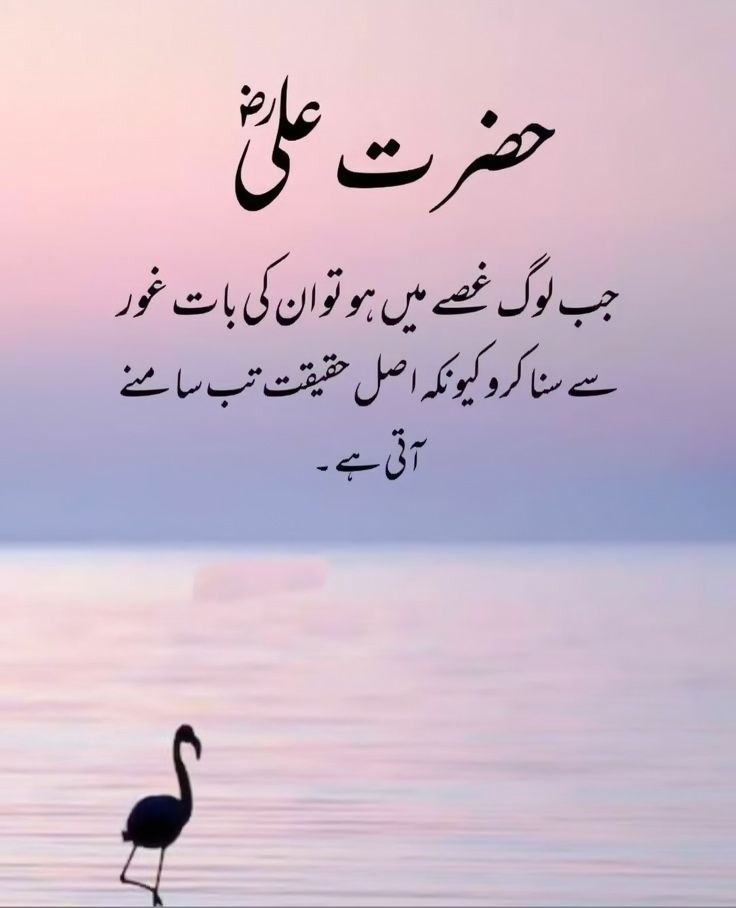 Deep Lines post on Dostana