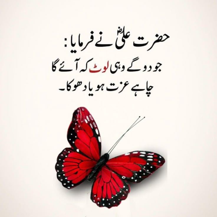 Deep Lines post on Dostana