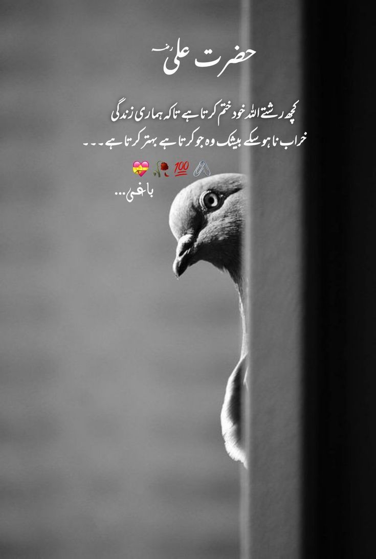 Deep Lines post on Dostana