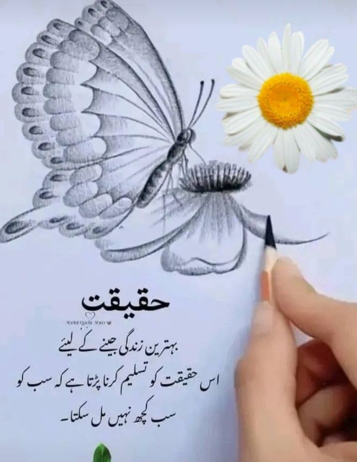 Deep Lines post on Dostana