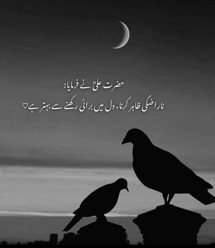 Deep Lines post on Dostana
