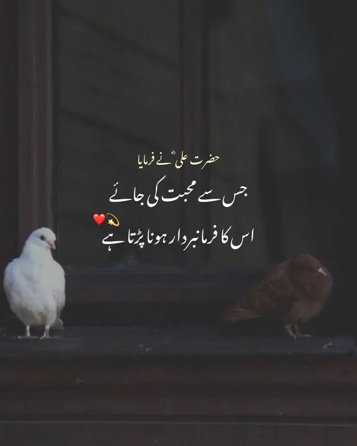 Deep Lines post on Dostana