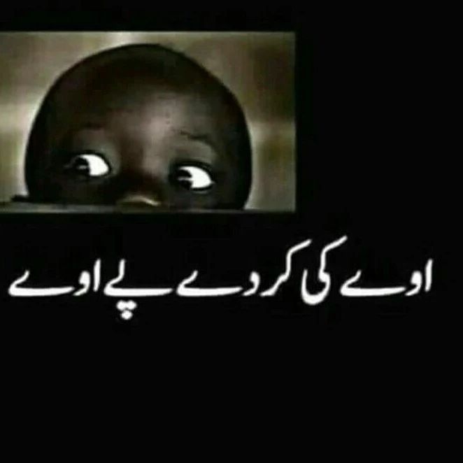 😂😂😂