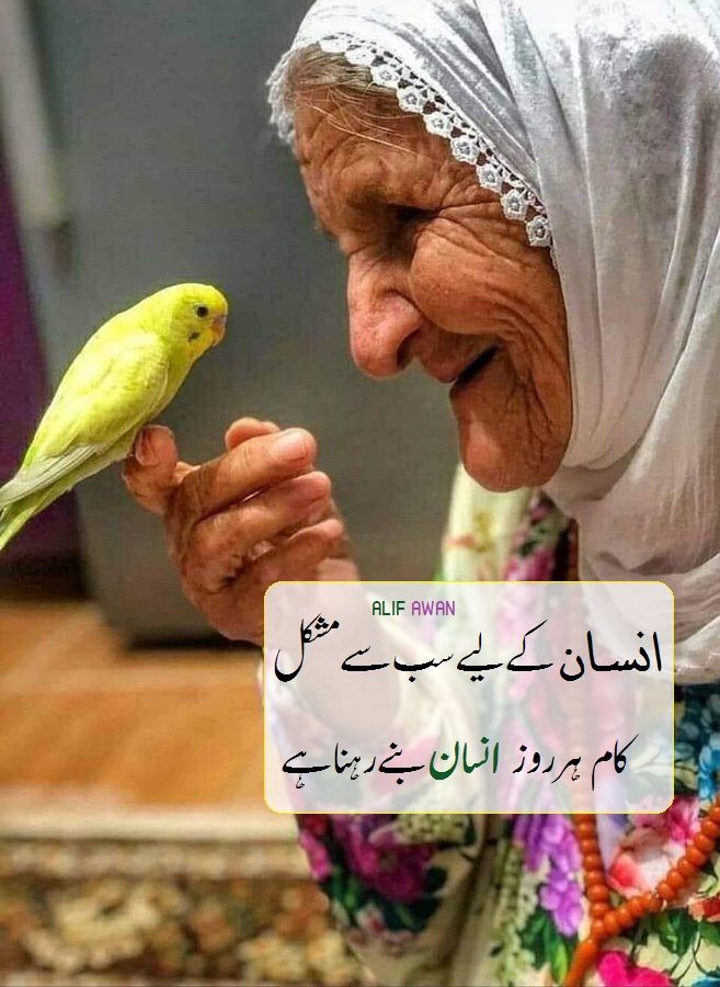 Deep Lines post on Dostana