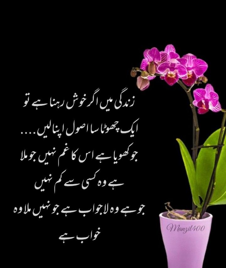 Deep Lines post on Dostana