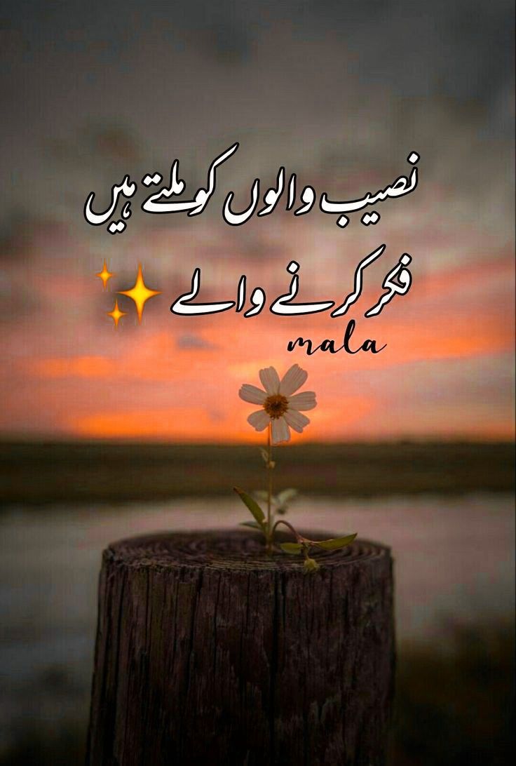 Deep Lines post on Dostana