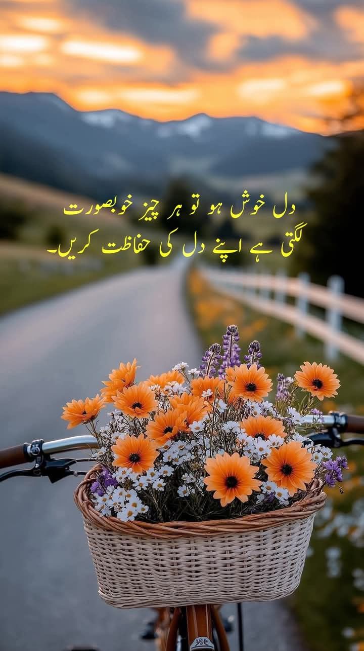 Deep Lines post on Dostana