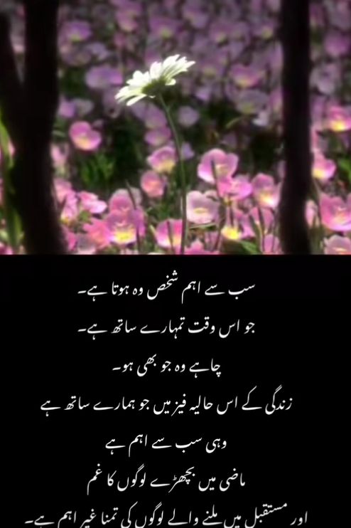 Deep Lines post on Dostana