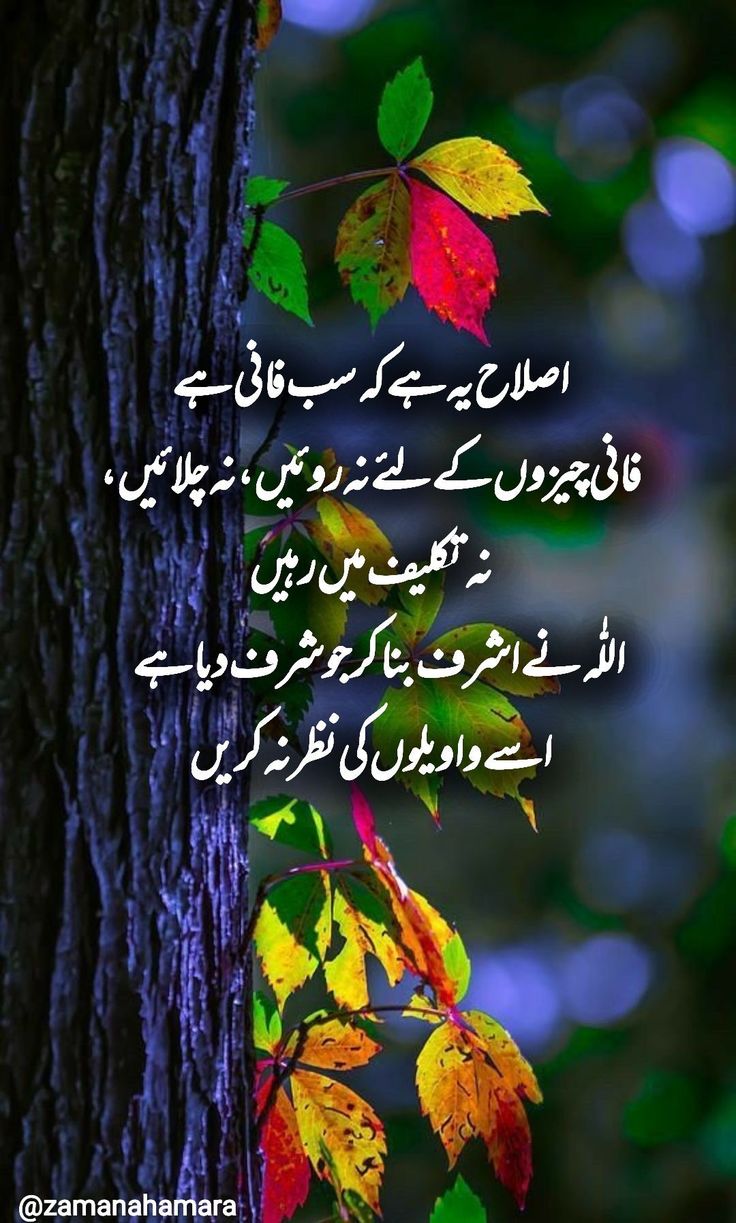 Deep Lines post on Dostana