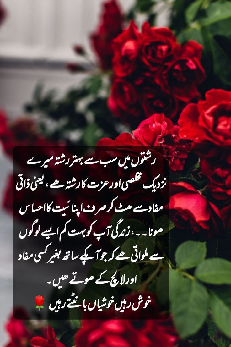 Deep Lines post on Dostana
