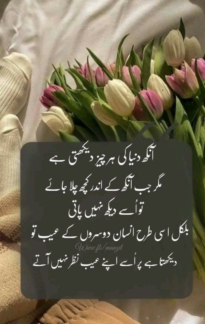 Deep Lines post on Dostana