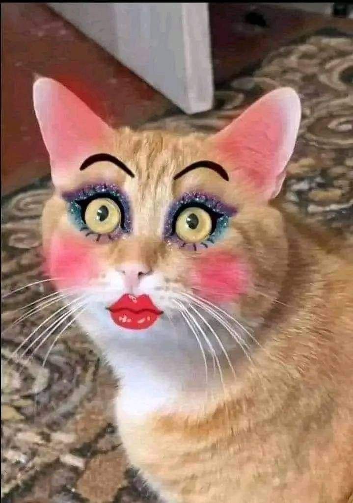 Manobili😂