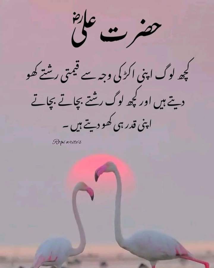 Deep Lines post on Dostana
