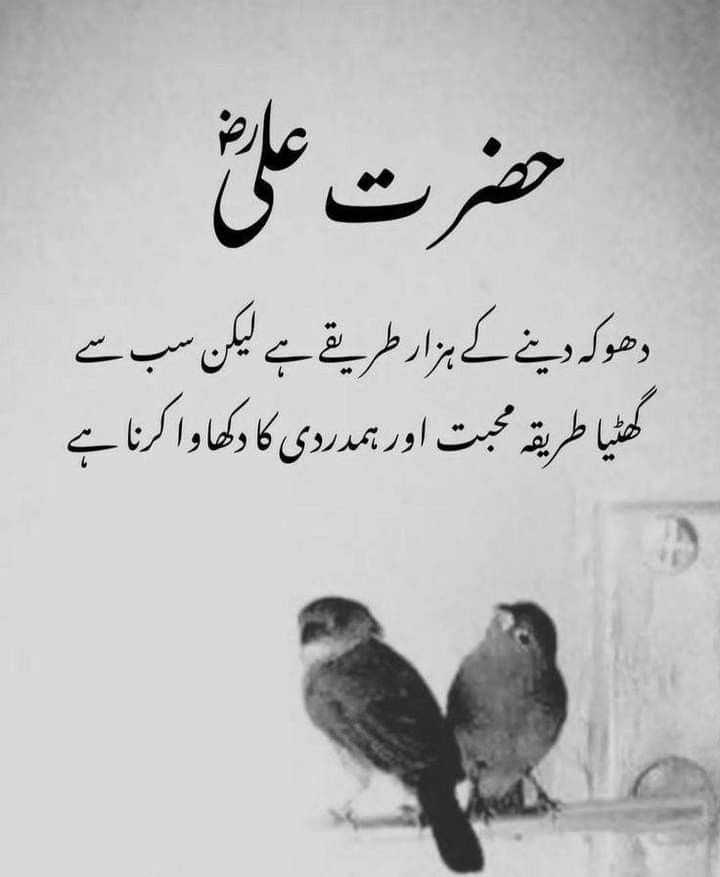 Deep Lines post on Dostana