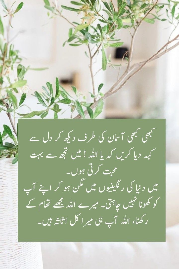 Deep Lines post on Dostana