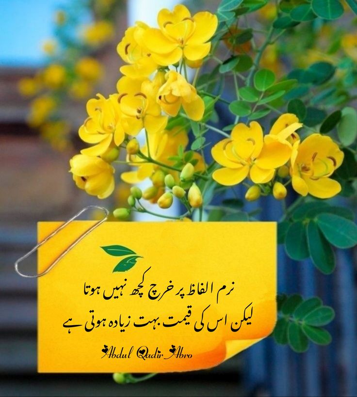 Deep Lines post on Dostana