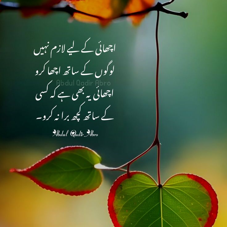 Deep Lines post on Dostana