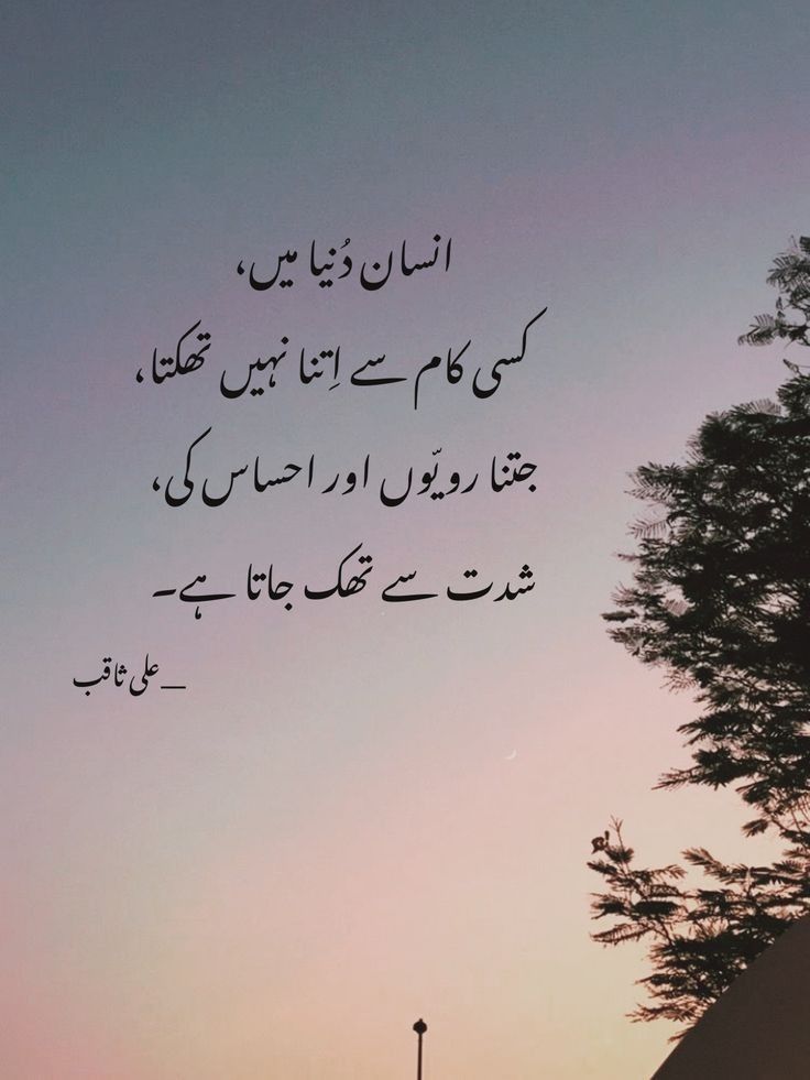Deep Lines post on Dostana