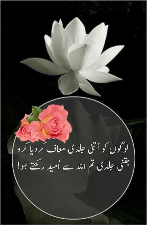 Deep Lines post on Dostana