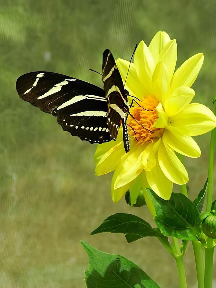 Photography post on Dostana