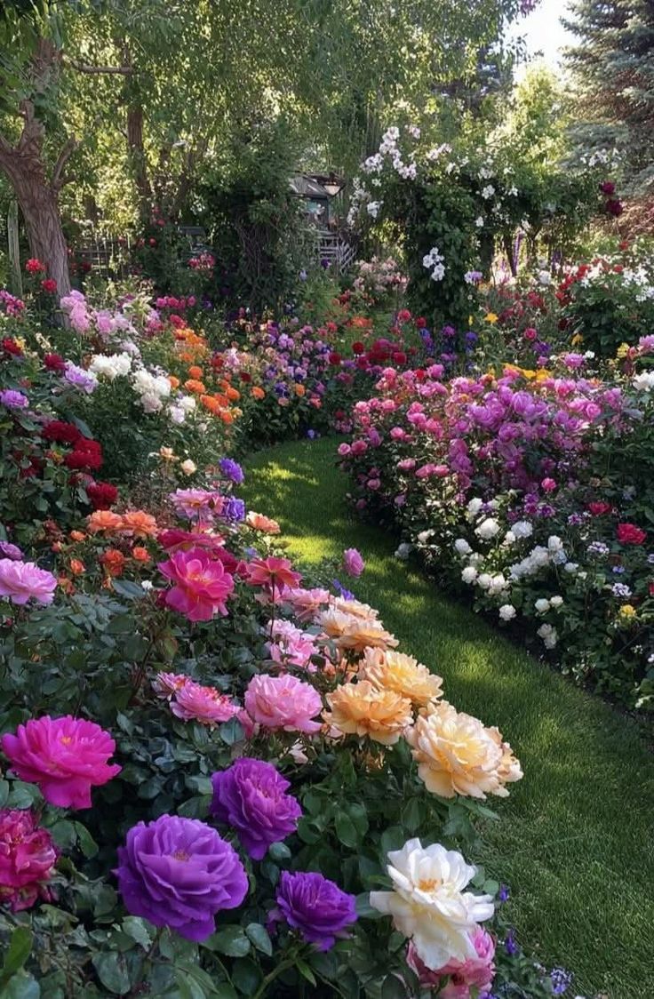 Gardening post on Dostana