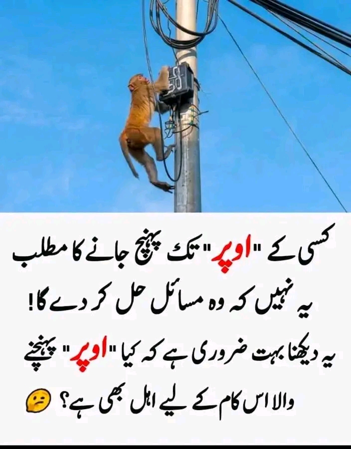 غیر سیاسی پوسٹ 😂😅🤣🙊