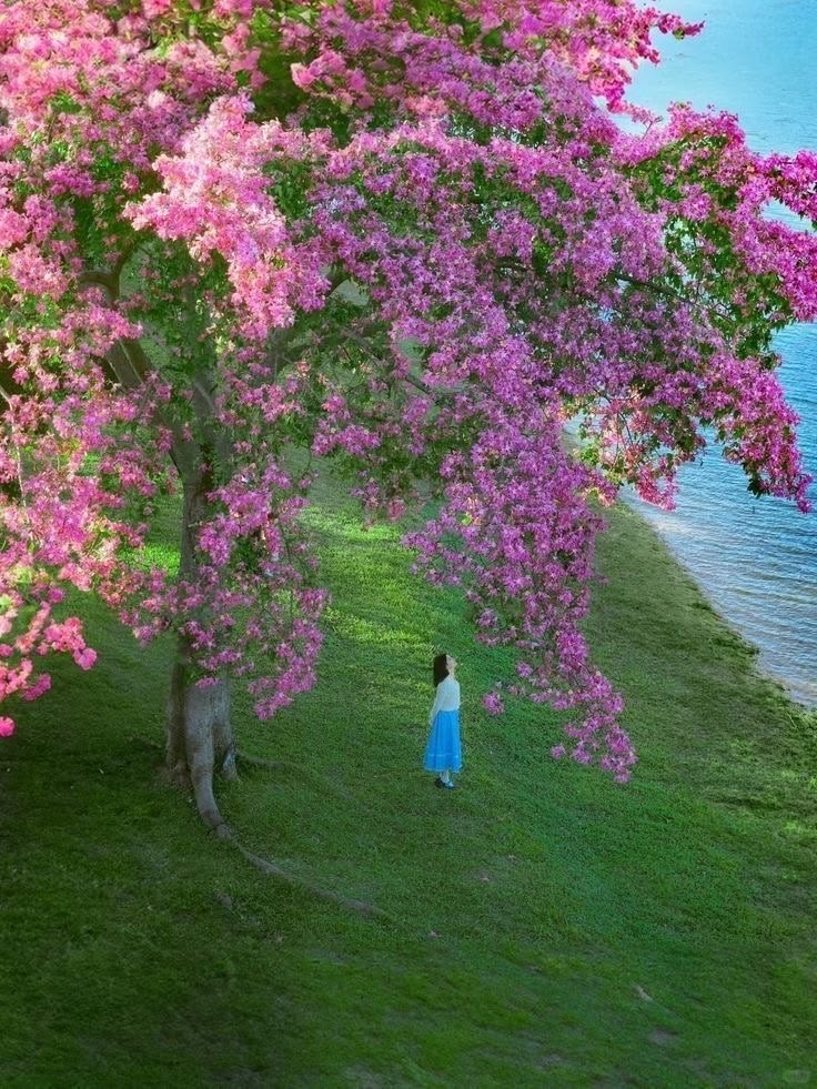 Photography post on Dostana