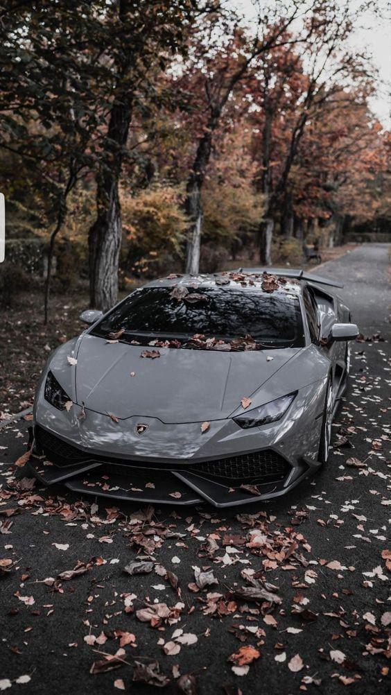 Automotive post on Dostana