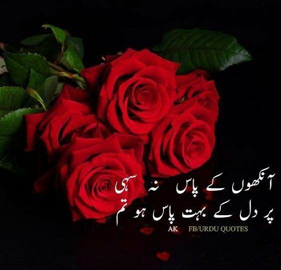 Deep Lines post on Dostana