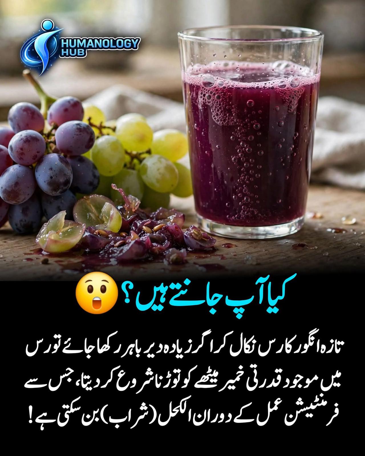 انگور کا رس صرف میٹھا مشروب نہیں، اس میں ایک دلچسپ قدرتی سائنسی عمل بھی شروع ہو سکتا ہے۔ 🍇

اگر تازہ رس کو مناسب…