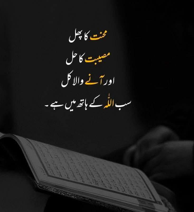بے شک 🥀🌺🥀