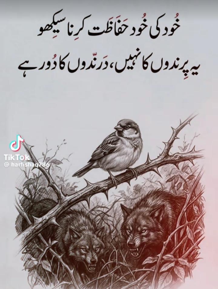 Allah sub bvhiyo ki hifazt kry