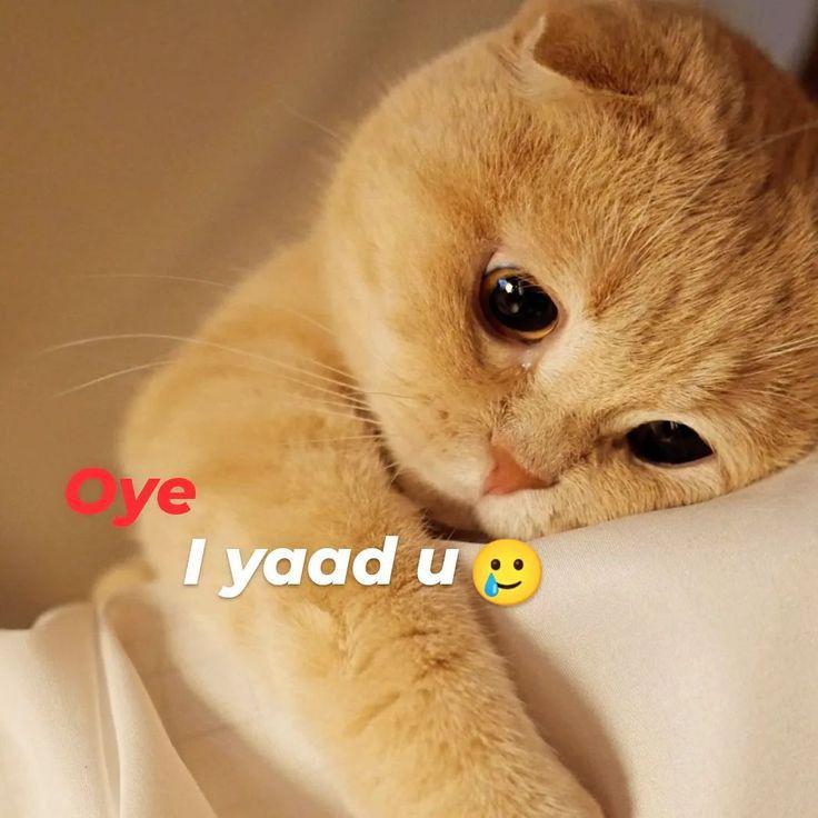 Sad Poetry post on Dostana