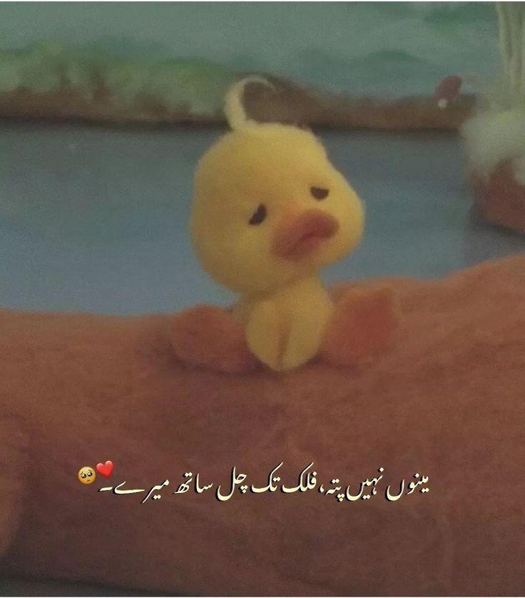 Funny Poetry post on Dostana