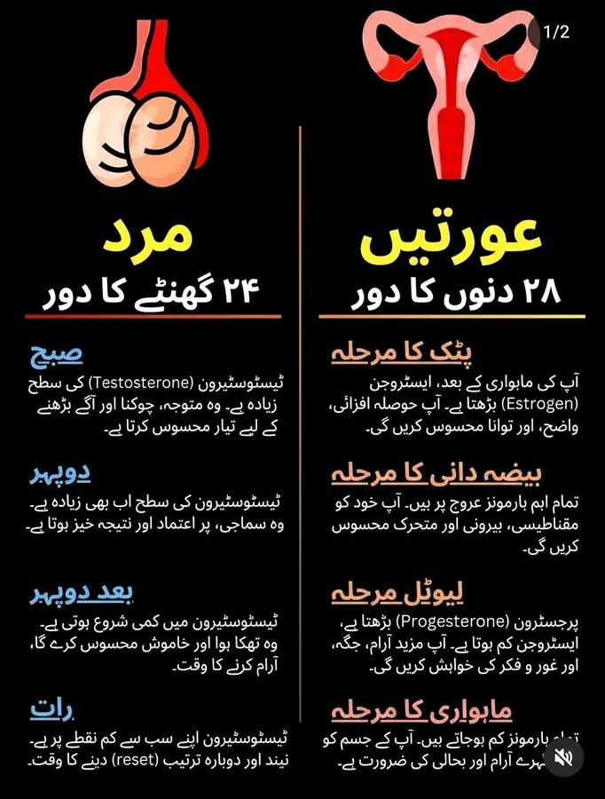 Education post on Dostana