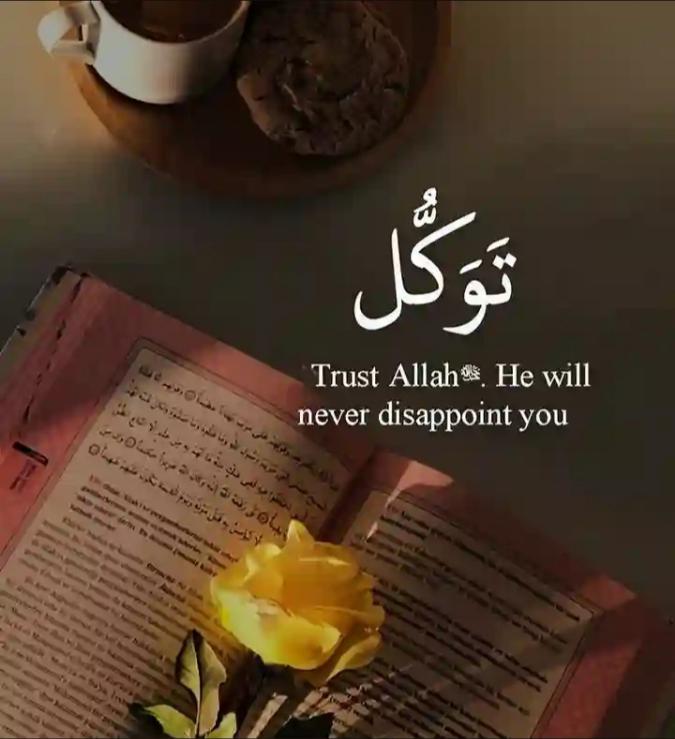 میں پُر سکون ہوںۦۦ🌸
اپنی قسمت کو رب پر چھوڑ کےۦۦ🌸
 اس لیے نہیں کہ وہ بہتر کرے گاۦۦ🌸
بلکہ اس لیے کہ اس سے بہتر…