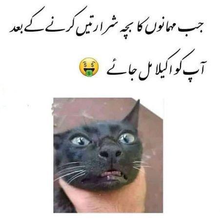 😂
