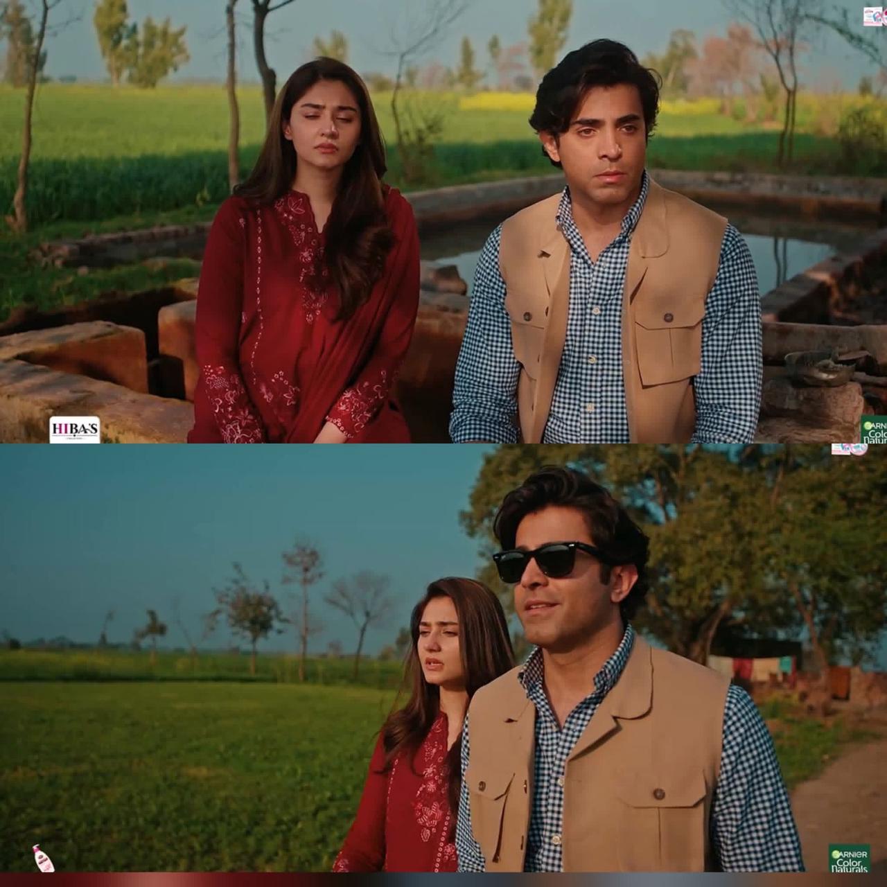 یہ زریاب گاؤں گئی ہے یا ایمیزون کے جنگلات میں؟ پہلے ابوبکر وارن کر رہا ہے کہ گھاس بڑی ہے، سانپ بچھو نہ نکل آئیں، اور…