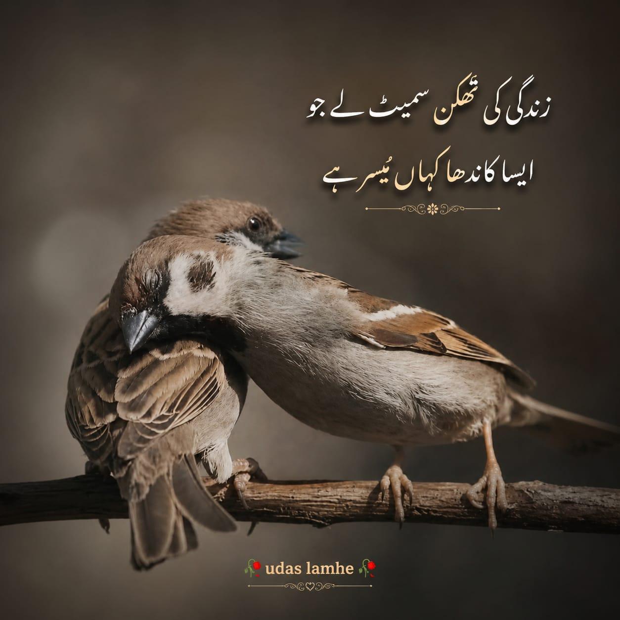 Sad Poetry post on Dostana